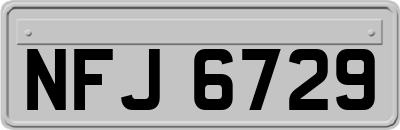 NFJ6729