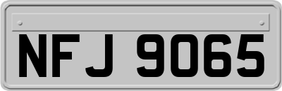 NFJ9065