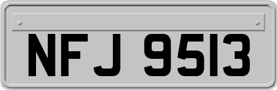 NFJ9513