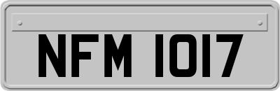 NFM1017