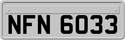 NFN6033