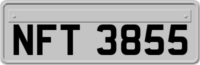 NFT3855