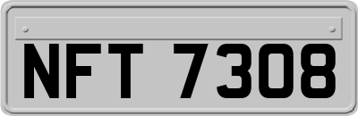 NFT7308