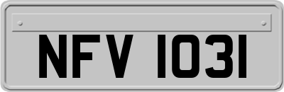NFV1031