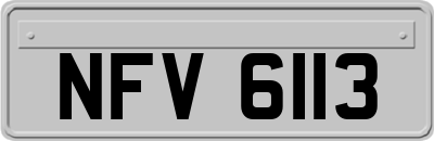 NFV6113