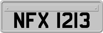 NFX1213
