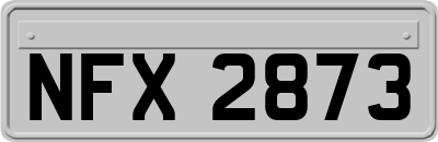 NFX2873