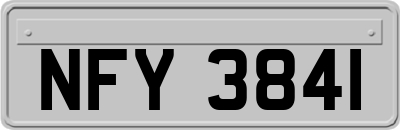NFY3841