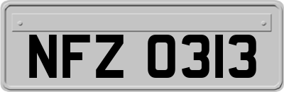 NFZ0313