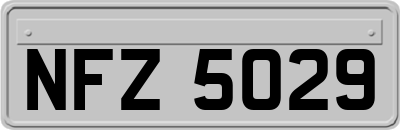 NFZ5029
