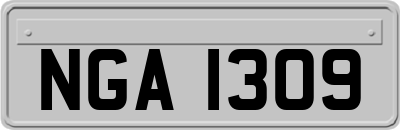 NGA1309