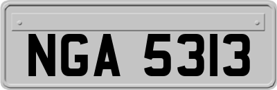 NGA5313