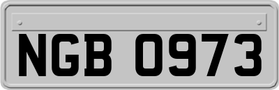 NGB0973