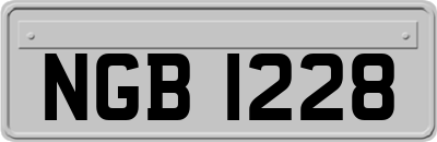 NGB1228