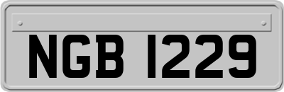 NGB1229