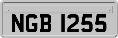 NGB1255