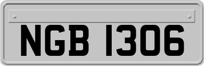 NGB1306