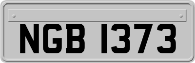 NGB1373
