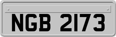 NGB2173