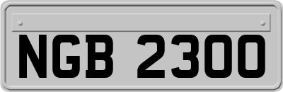 NGB2300