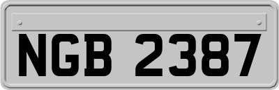 NGB2387
