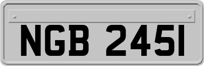 NGB2451