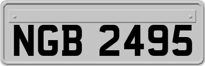 NGB2495