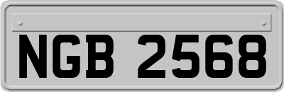 NGB2568