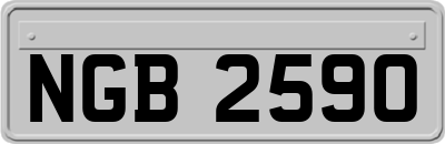 NGB2590