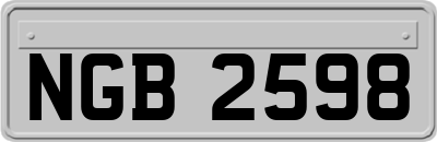 NGB2598