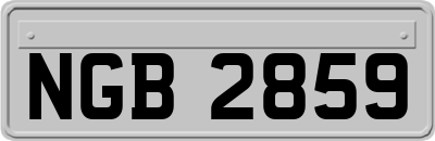 NGB2859