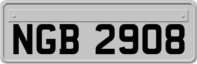 NGB2908