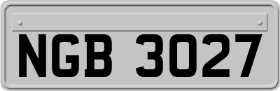 NGB3027
