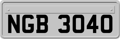 NGB3040
