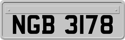 NGB3178