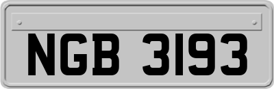 NGB3193