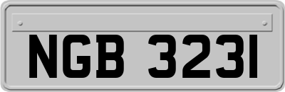 NGB3231