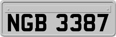 NGB3387