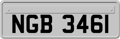 NGB3461