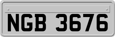 NGB3676