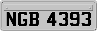 NGB4393
