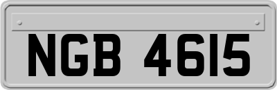NGB4615