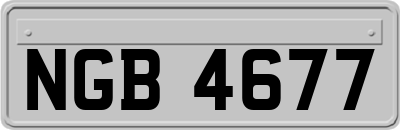 NGB4677