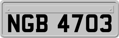 NGB4703
