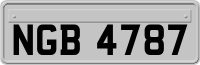NGB4787
