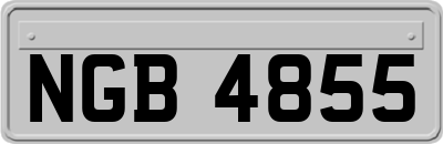 NGB4855