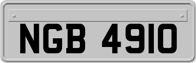 NGB4910