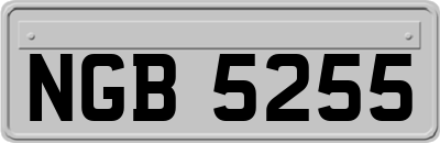 NGB5255