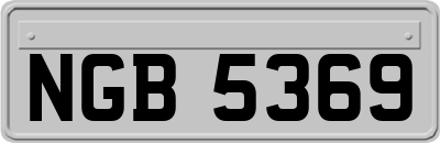 NGB5369