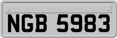 NGB5983